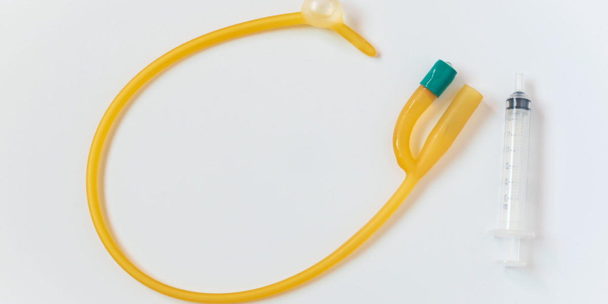 Foley Catheter Forecast and Outlook (2024-2031)