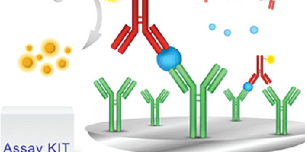 Amino Acid Assay Kits Market Insight | Outlook | Growth Analysis Report 2032