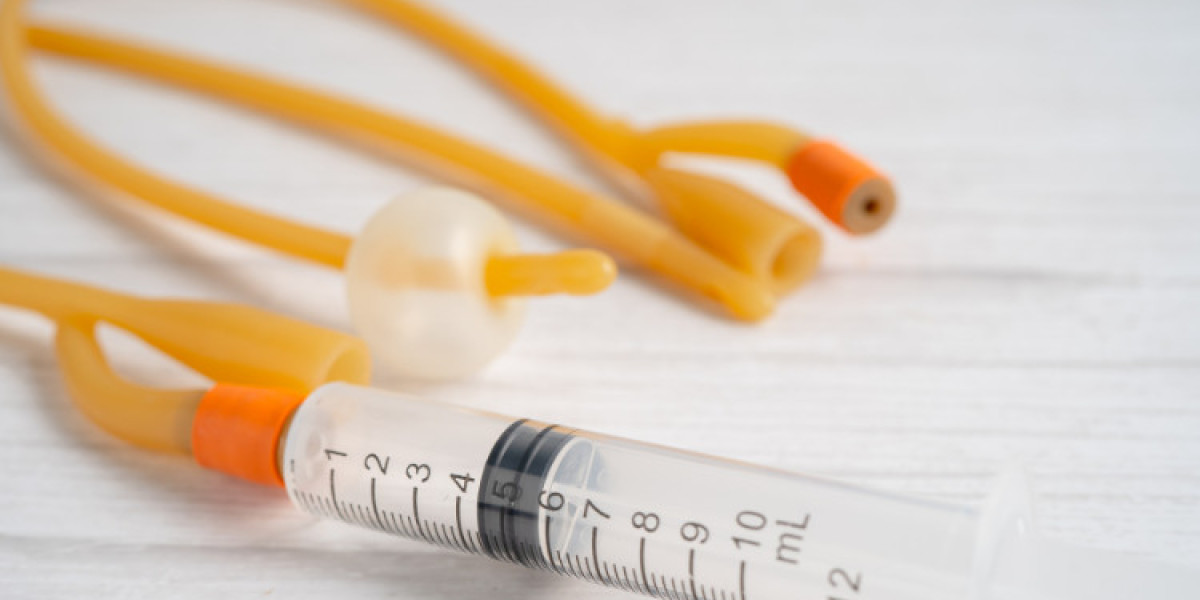 Global Balloon Catheter Market Analysis And Forecast Report 2024-2032