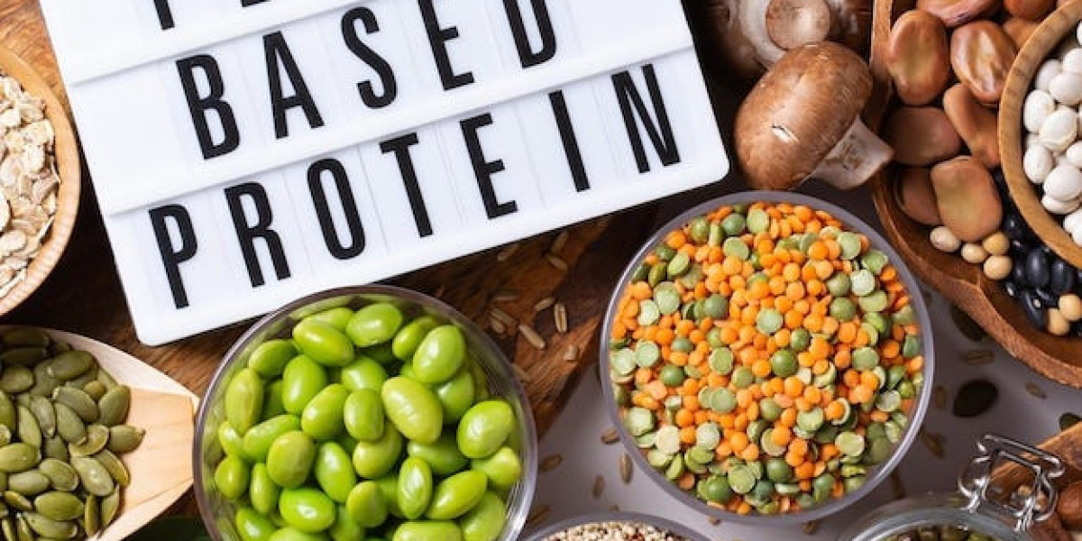 France Plant Protein Market Size, Share, Forecasts to 2033