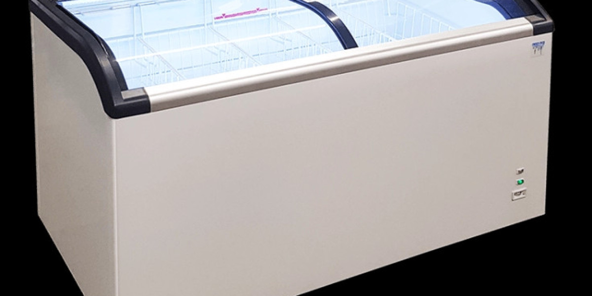 Chest Freezer Market Growth Surges as E-commerce Drives Demand for Frozen Goods