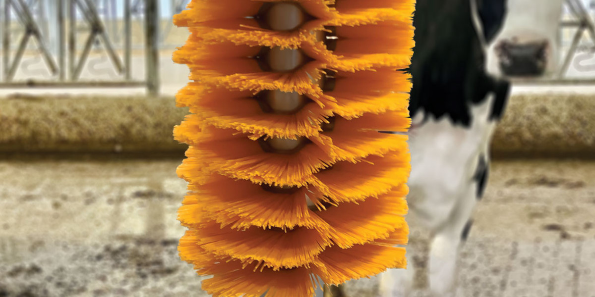 Technological Innovations Enhance Cow Comfort Brush Market Demand in 2024