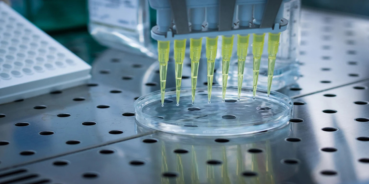 Global Market Growth Driven by Rising Chronic Diseases and Expanding Multiplex Assay Applications