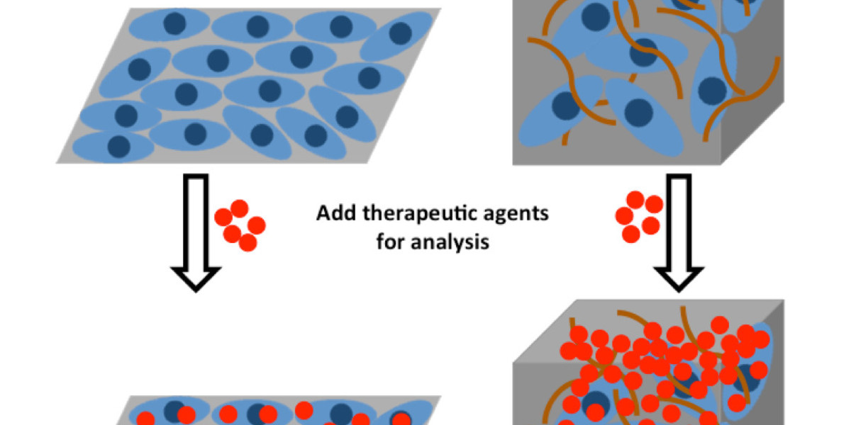3D Cell Culture Market Outbreak: Key Trends, Growth, Insights and Forecast to 2032