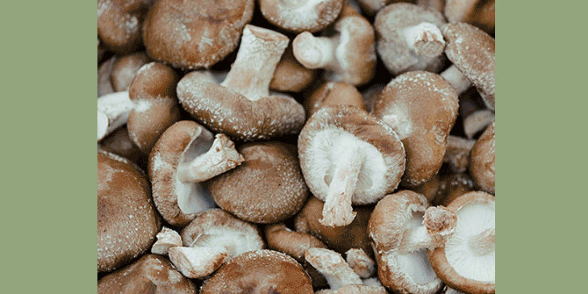 Mushroom Market 2023 Trends, Share & Forecast Report to 2032