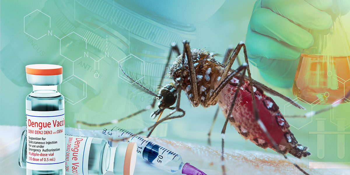 Dengue Vaccine Market Size, Share, Industry, Forecast, and Outlook (2024-2031)