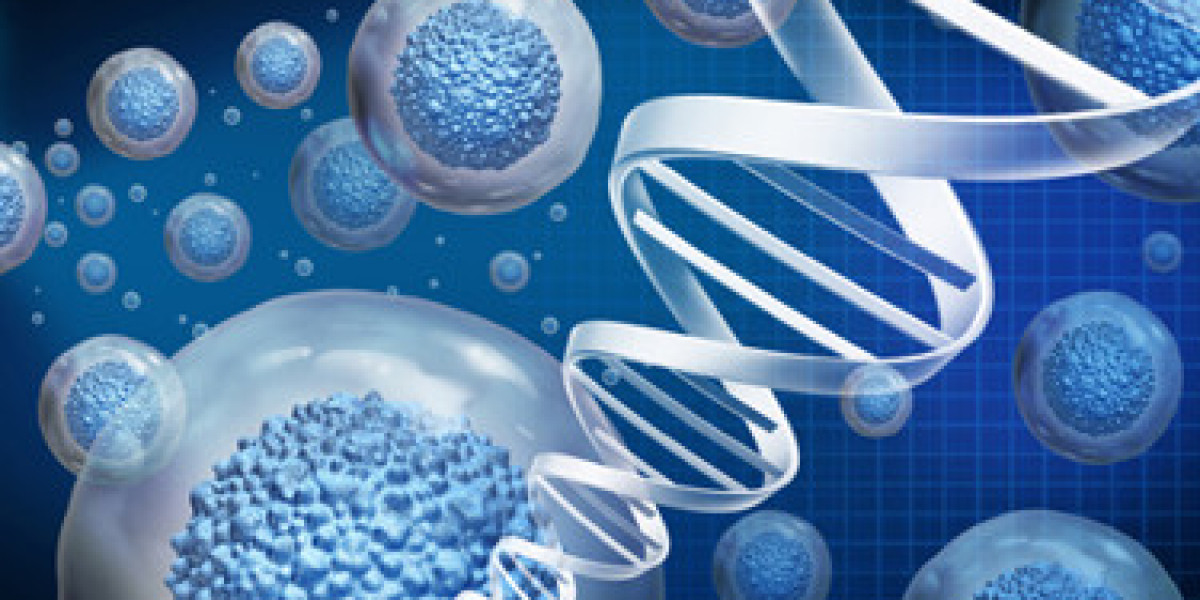 Top 10 Stem Cell Manufacturing Trends in 2024; Explore More With Spherical Insights