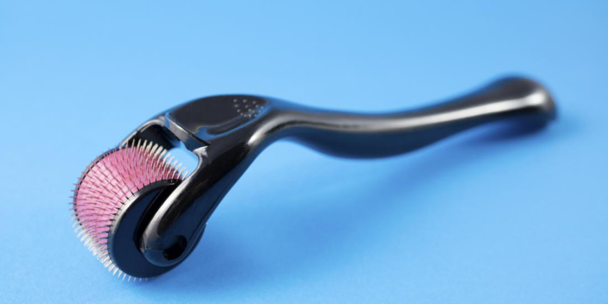 Global Derma Roller Market Trends: Size, Share & Growth Forecast 2023-2033