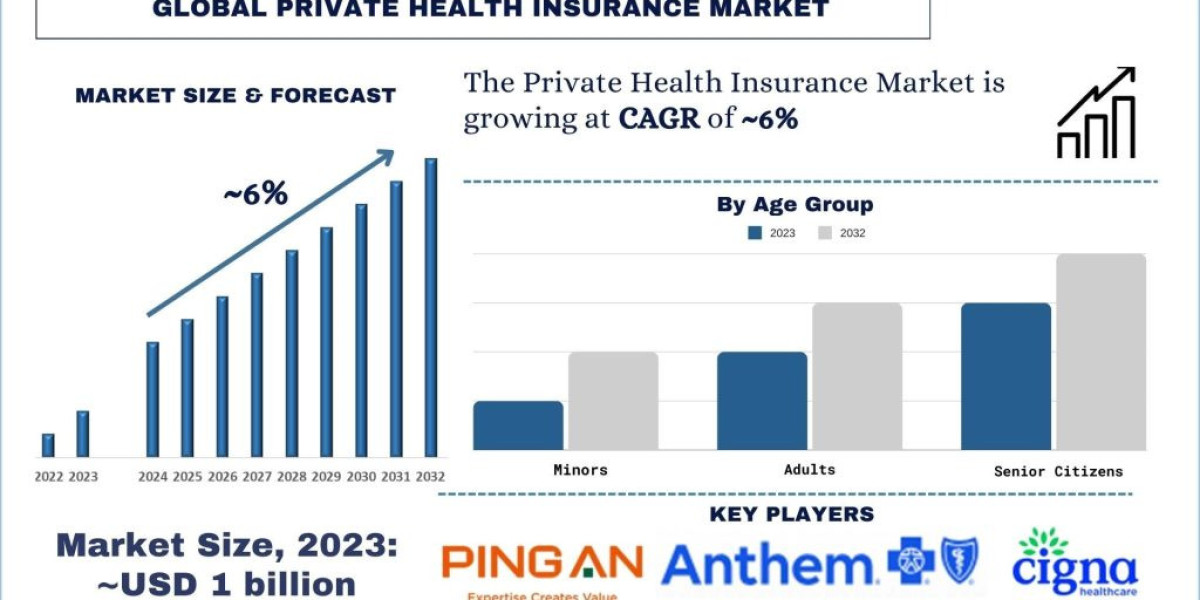 Private Health Insurance Market Size, Trends and Forecast to 2030