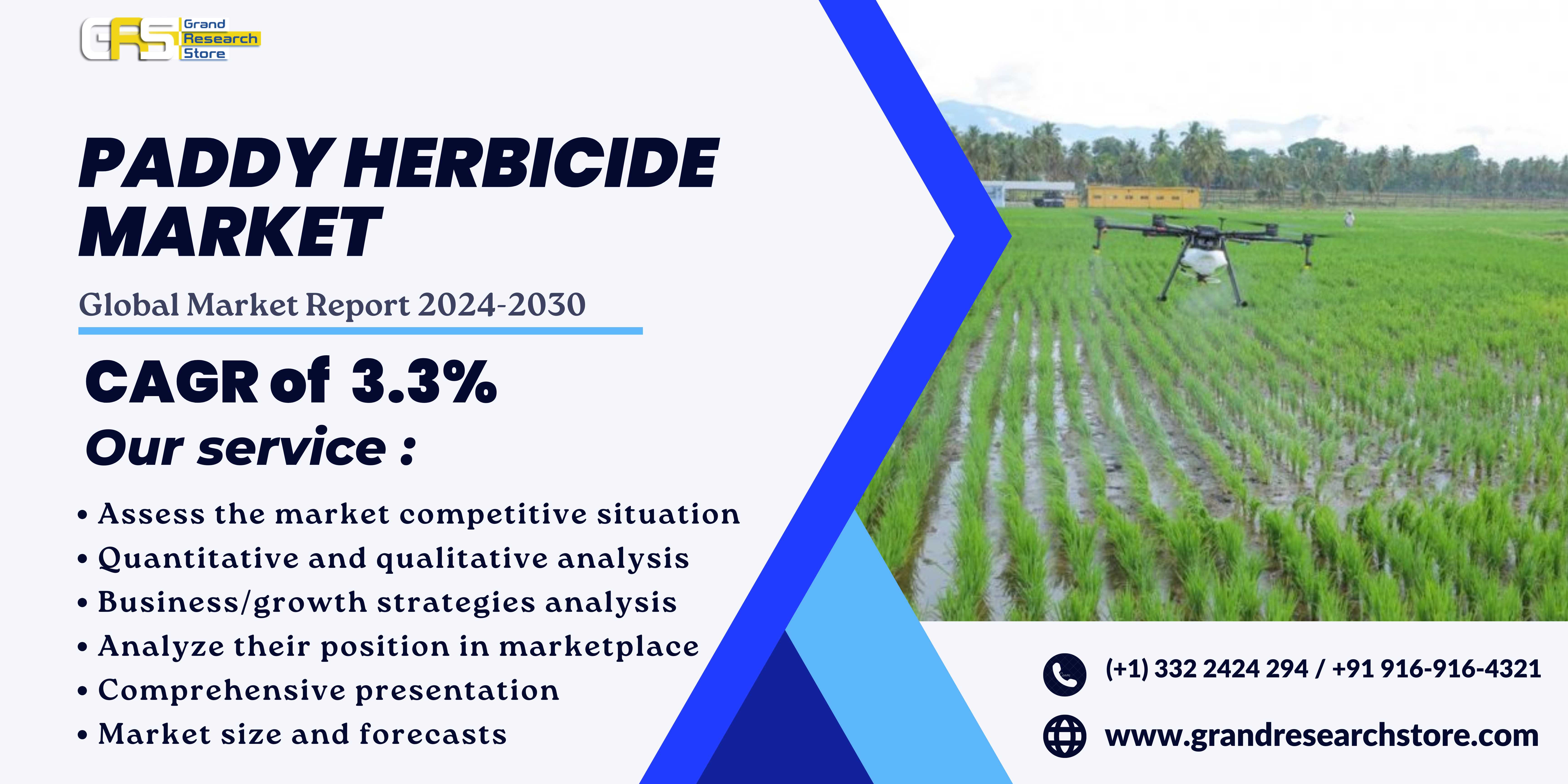 Paddy Herbicide Market, Global Outlook and Forecas..