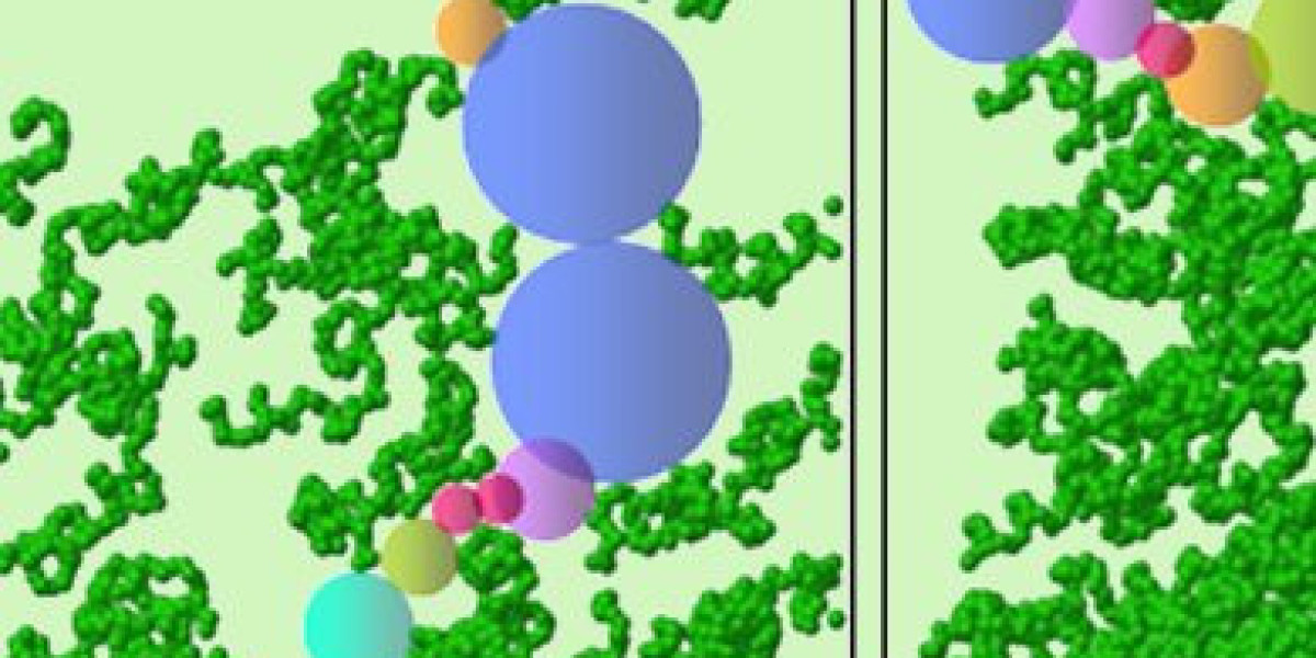 Exploring the Global Polymeric Adsorbents Market: Key Applications and Growth