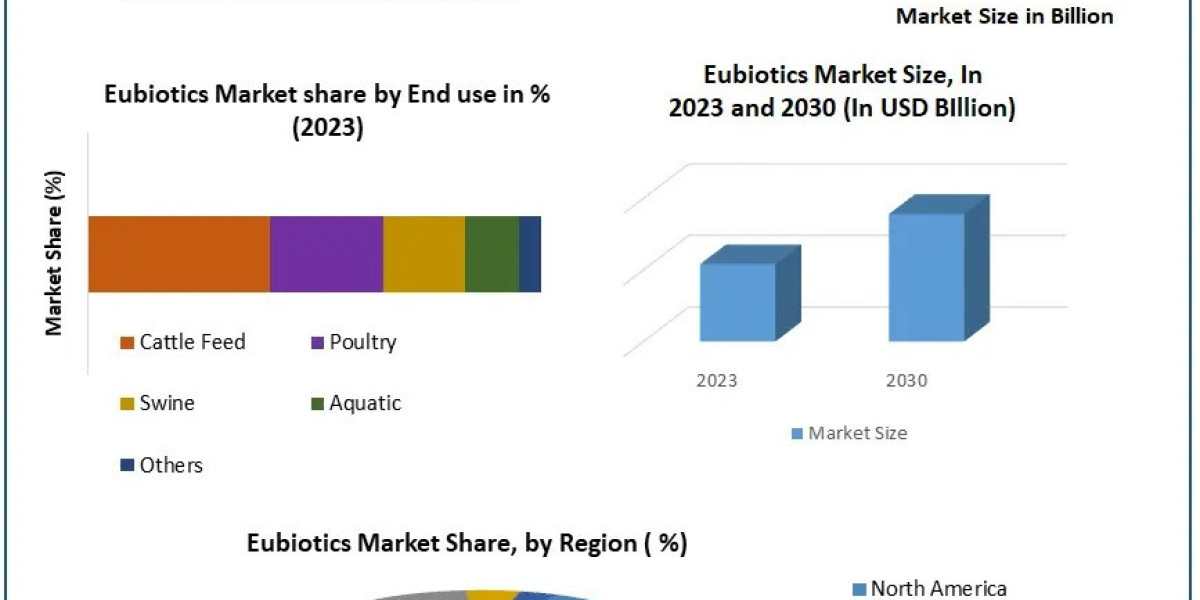 Eubiotics Market Overview 2030: Understanding Demand and Supply Dynamics