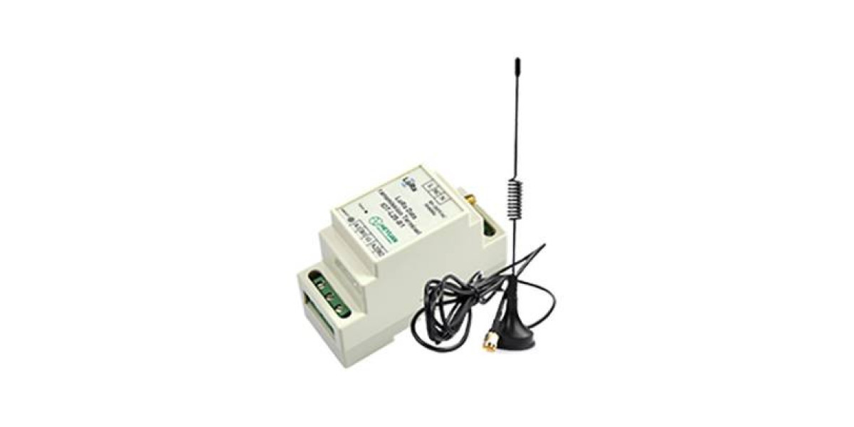 LoRa Data Transmission Terminal Market Size, Share, Challenges and Growth Analysis Report 2033