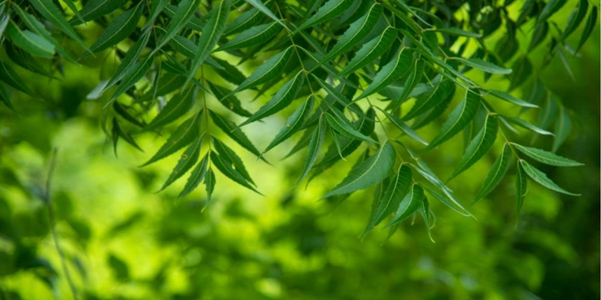 Global Neem Extract Market Sales, Revenue, Forecast - 2033