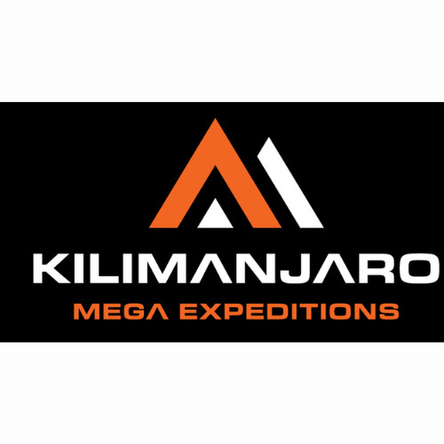 kilimanjaro kilimanjaro Profile Picture