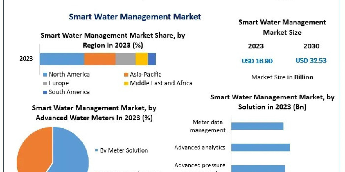 The Future of Water Conservation: Smart Water Management Market Insights and Projections for 2024 and Beyond