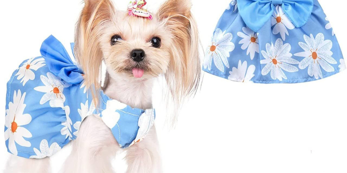 A walk into the Pet Clothing  Market - The Brainy Insights