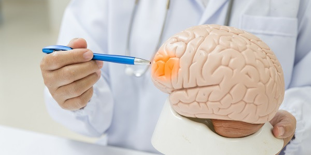 Research Report on the Cerebrospinal Fluid Management Industry