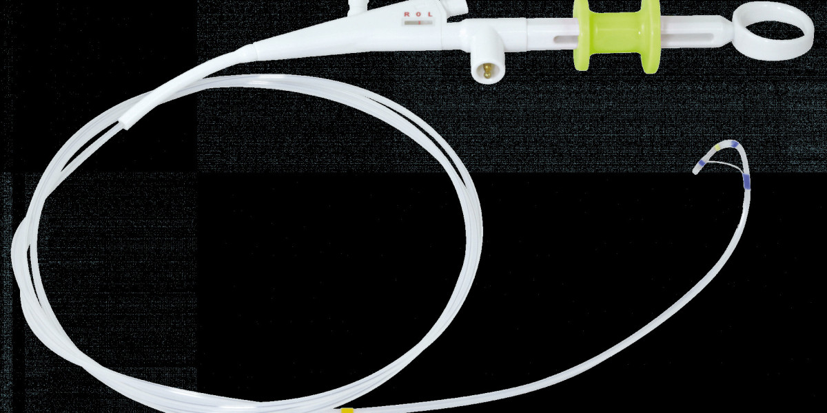 Research Report on the Sphincterotomes Industry