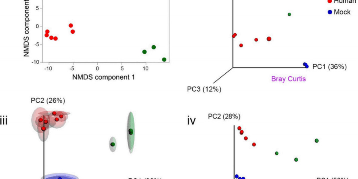 Bioinformatics Analysis of 16S rRNA Amplicon Sequencing