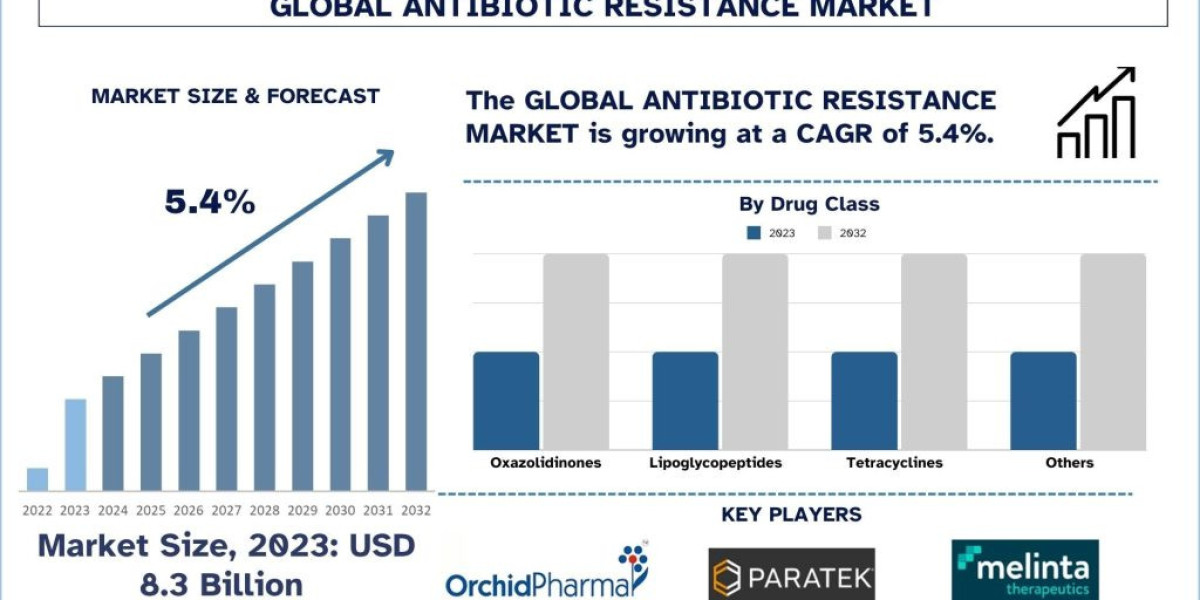 Antibiotic Resistance Market Analysis by Size, Share, Growth, Trends, Opportunities and Forecast (2024-2032)