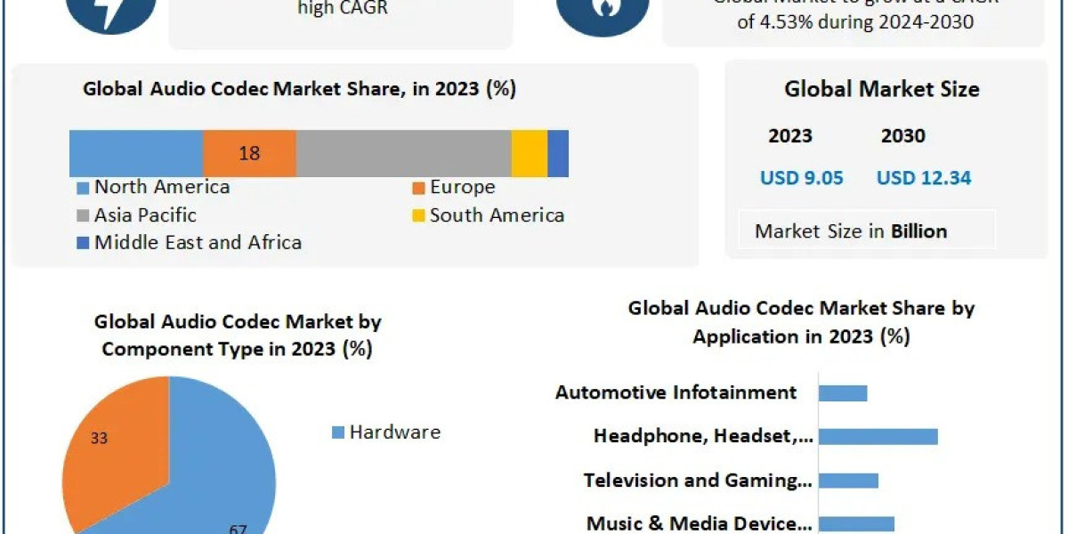 2024-2030 Global Audio Codec Market Report: Key Trends and Competitive Landscape