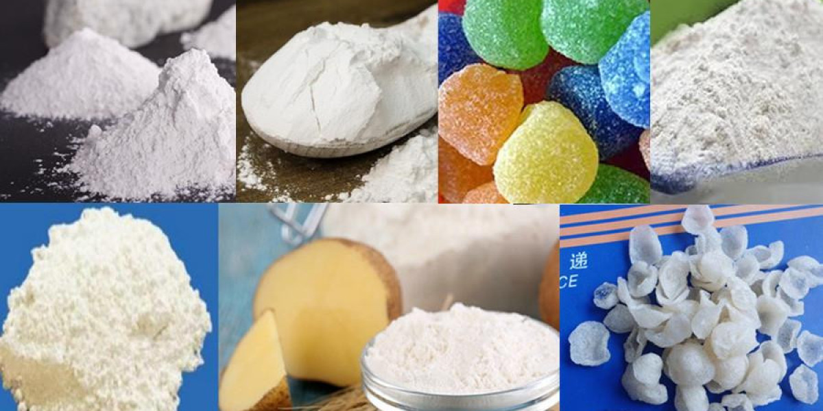 Modified Starch Market Global Industry Analysis, Size, Share, Growth, Trends, Regional Outlook, and Forecast 2024-2034