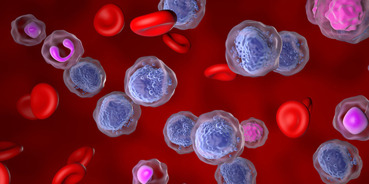 Research Report on the Acute Myeloid Leukaemia Therapeutics Industry