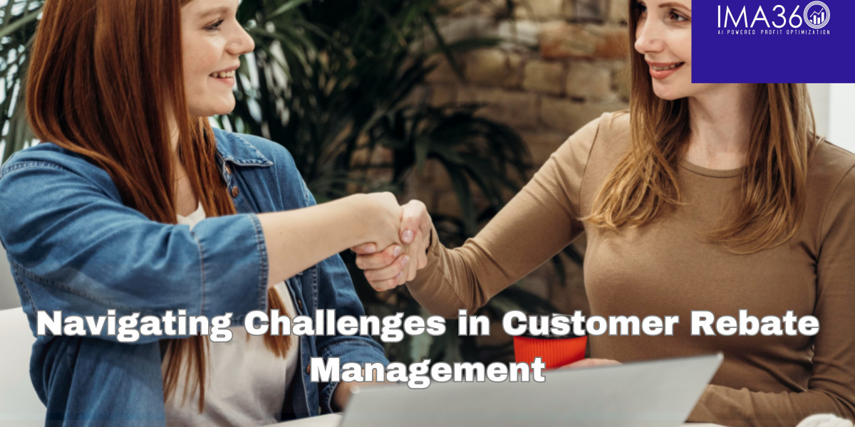 Navigating Challenges in Customer Rebate Management