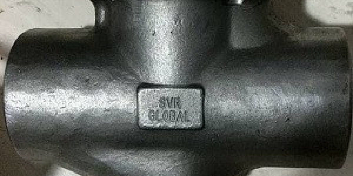 Steam Valve Manufacturers in USA