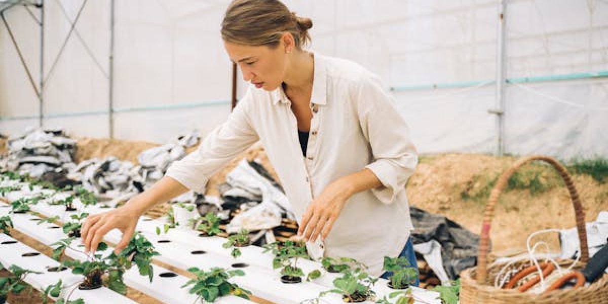 The Future of Gardening: Understanding Hydroponic Growing Systems