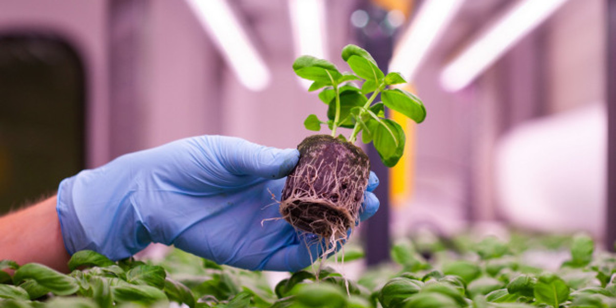 Hydroponic Substrate Market Size, Outlook Research Report 2023-2032