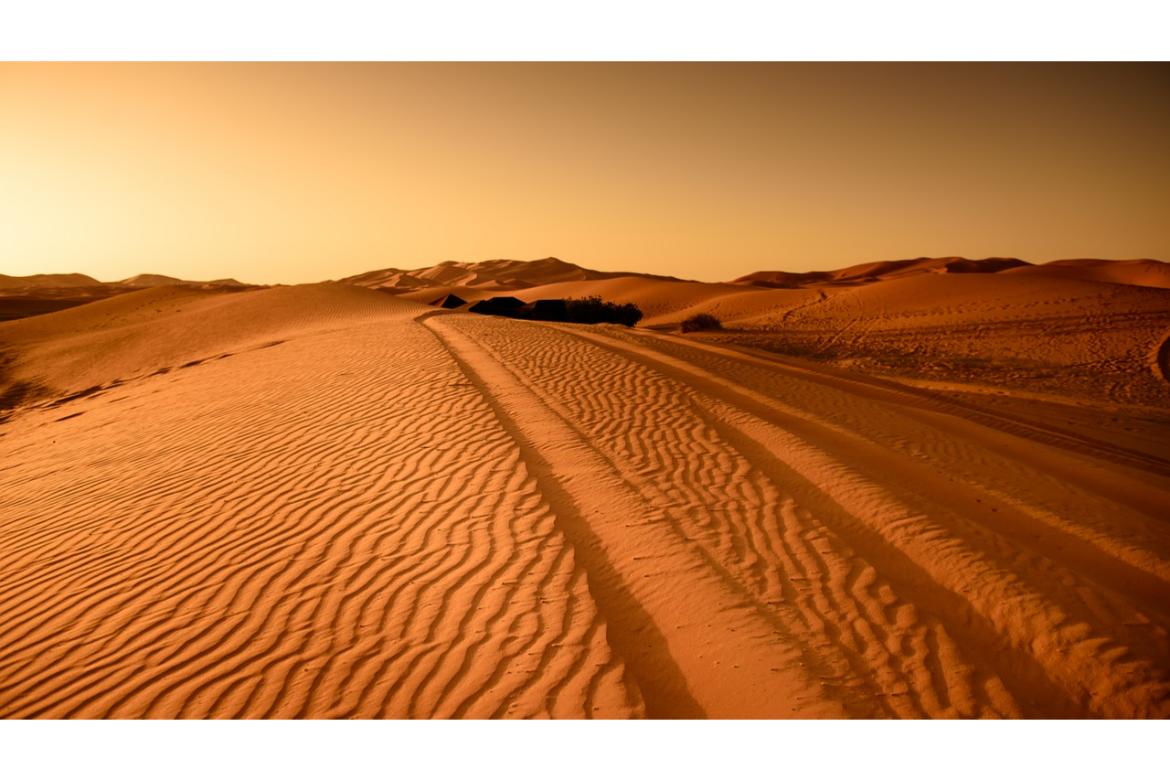 Ultimate Guide to Desert Safari in Dubai: From Booking to Drop-off