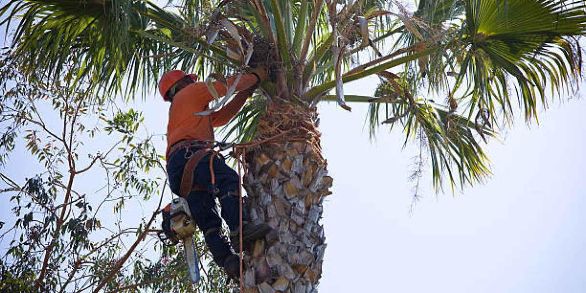 How to Identify Tree Diseases and Pests