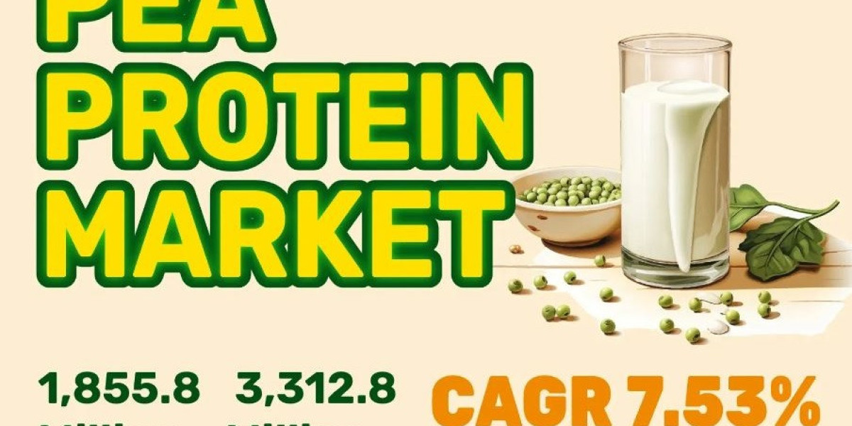 Pea Protein Market Global Industry, Volume, Revenue, Trends Analysis Report 2024-2031