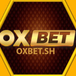 OXBET sh Profile Picture
