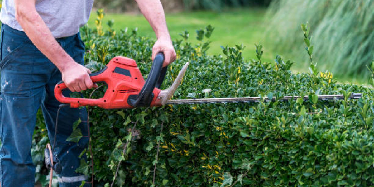 How often should I remove brush from my property?