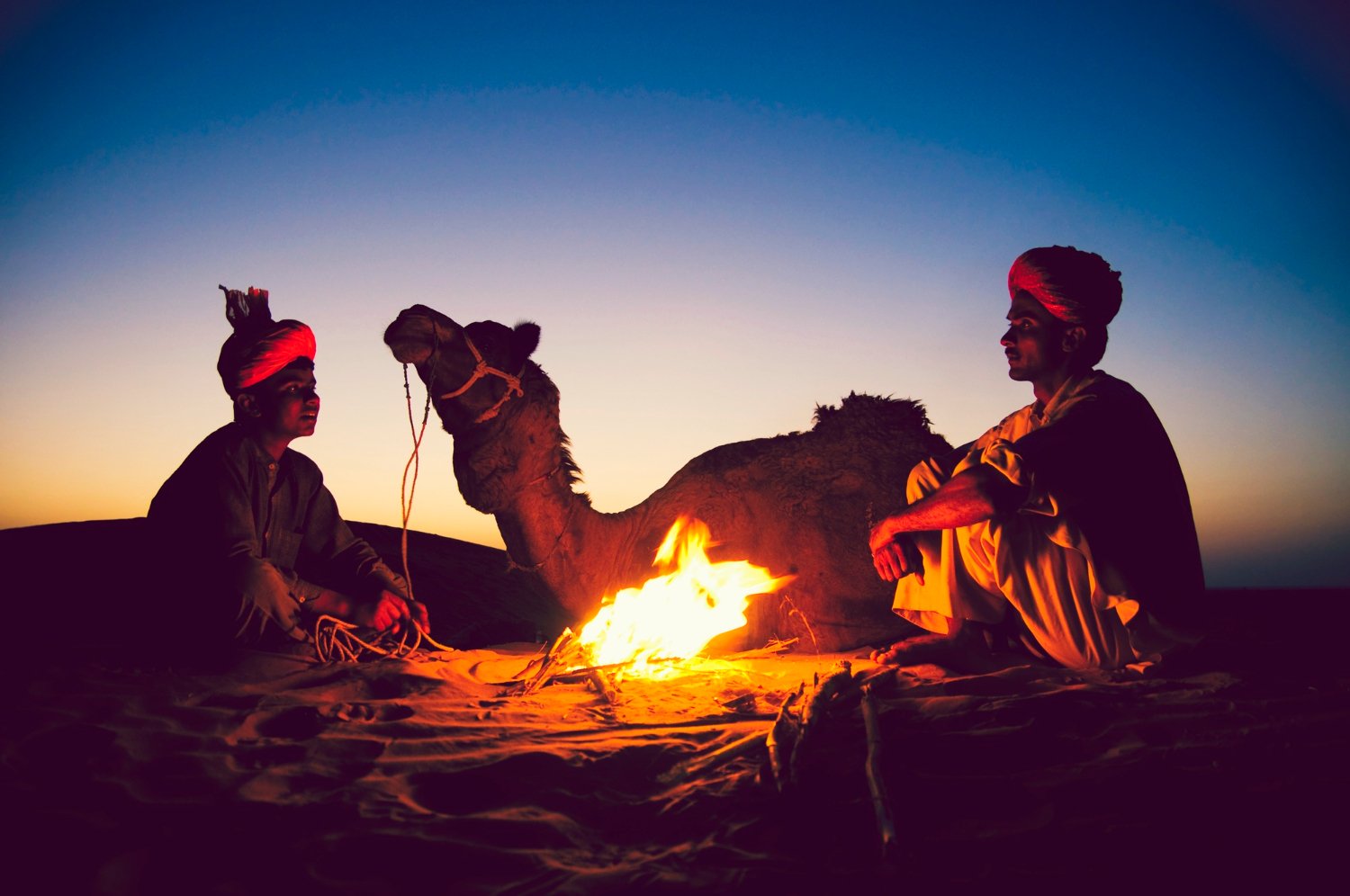 Explore the Magic of Jaipur Evening Tour: Top Sights to See