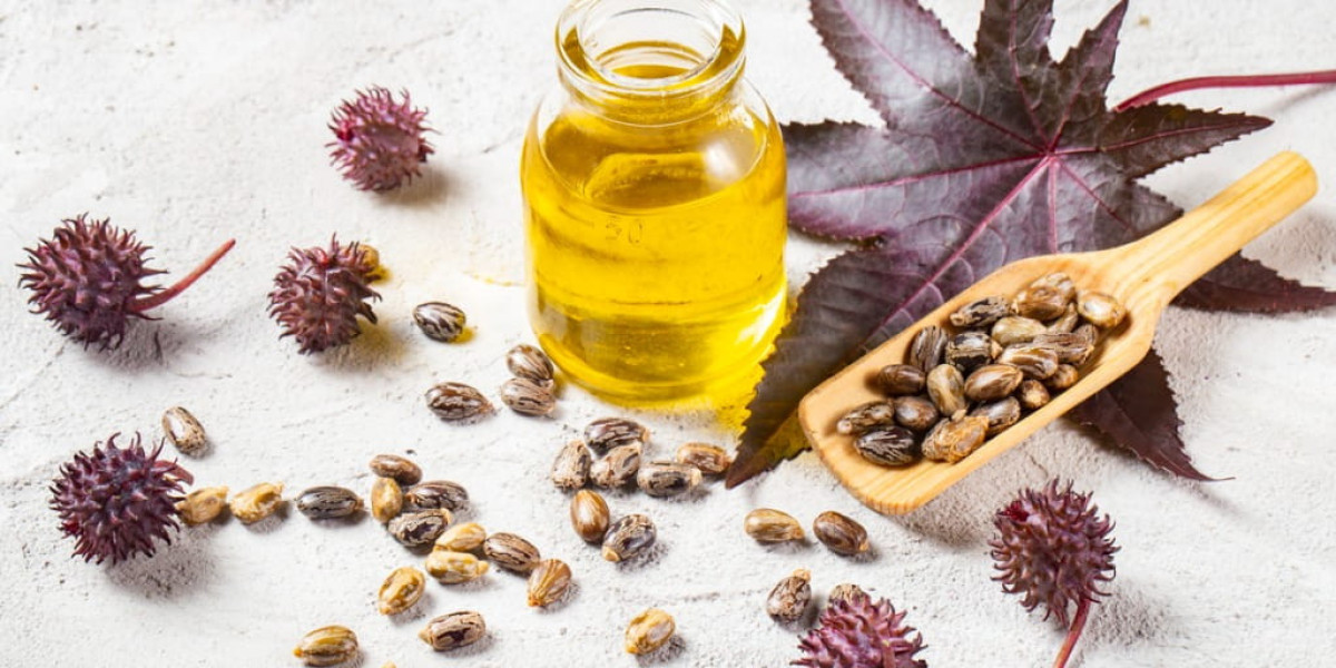 Research Report on the Castor Beans Market Industry