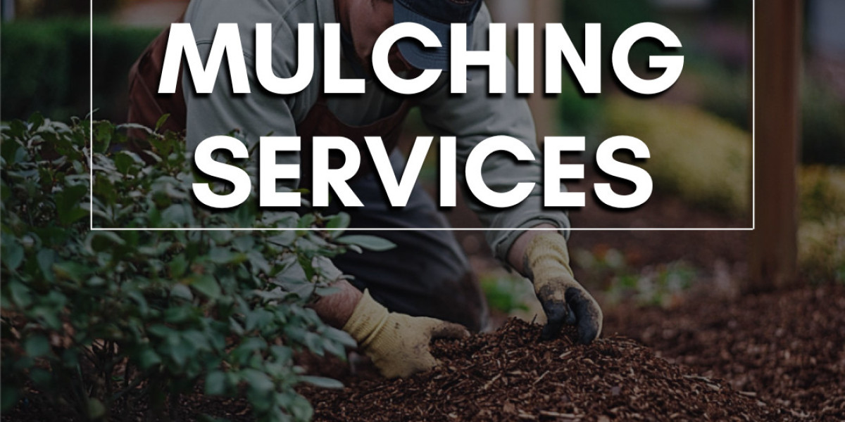 Professional Garden Care: Nurturing Your Green Spaces