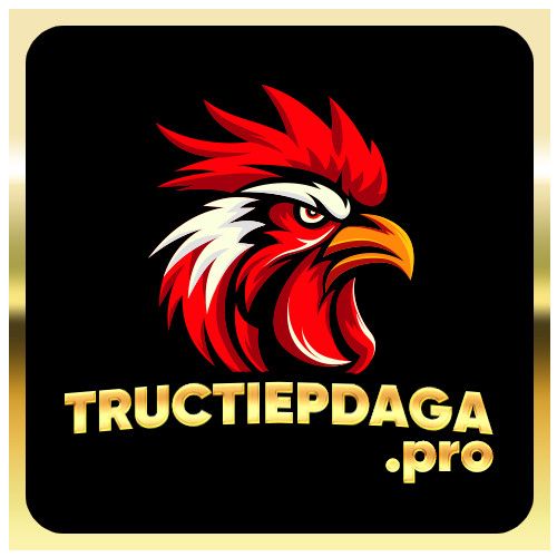 tructiepdaga pro Profile Picture