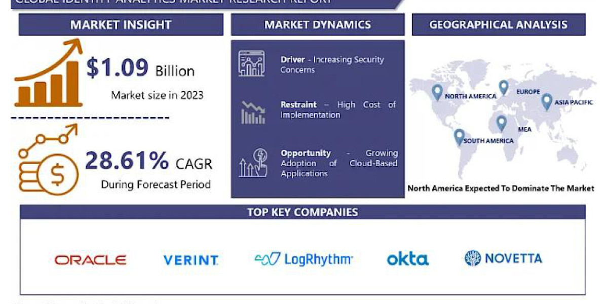 Understanding the Growing Identity Analytics Market To Forecast 2024-2032