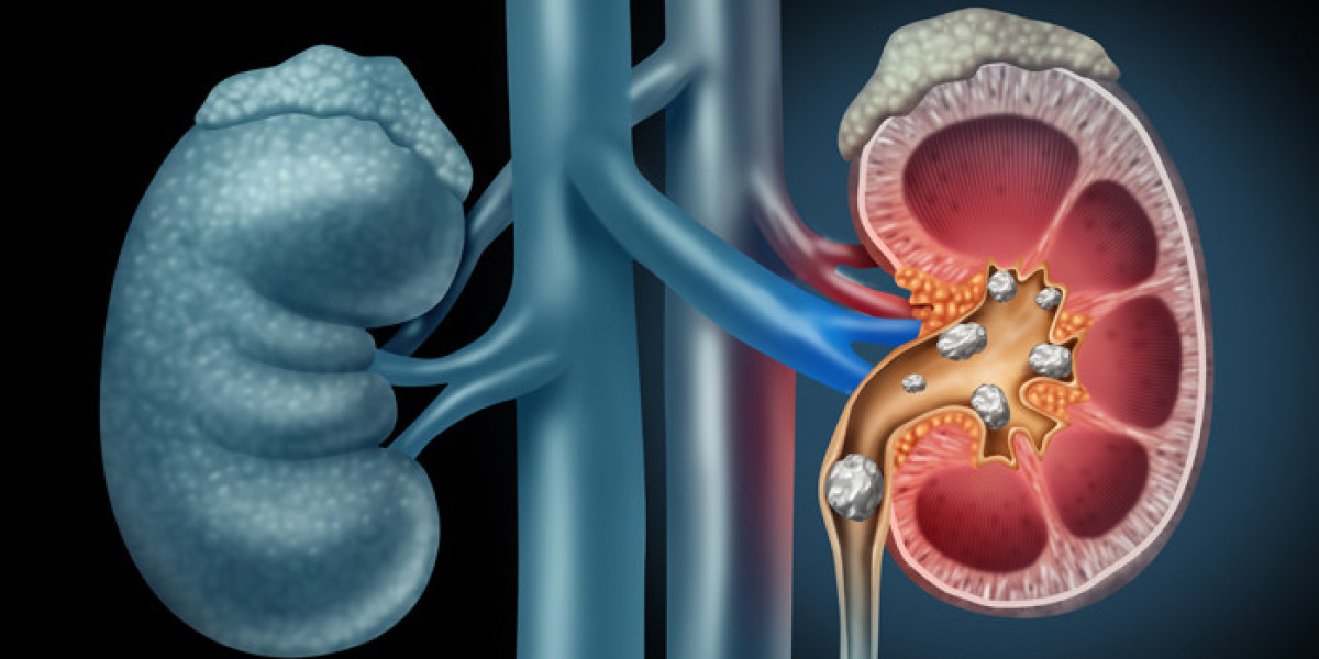 Endoscopic Stricture Management Device Market Overview, Growth Trends, Segmentation, Key Players (2024-2031)