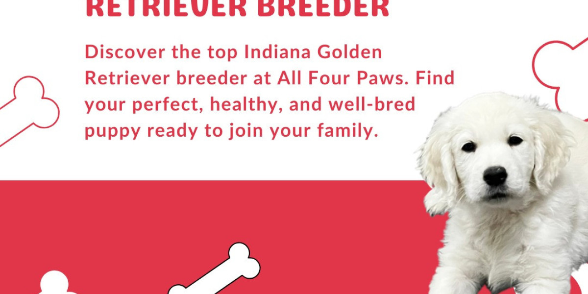 All Four Paws: Champion Breed Golden Retrievers and Puppies for Sale in the Midwest