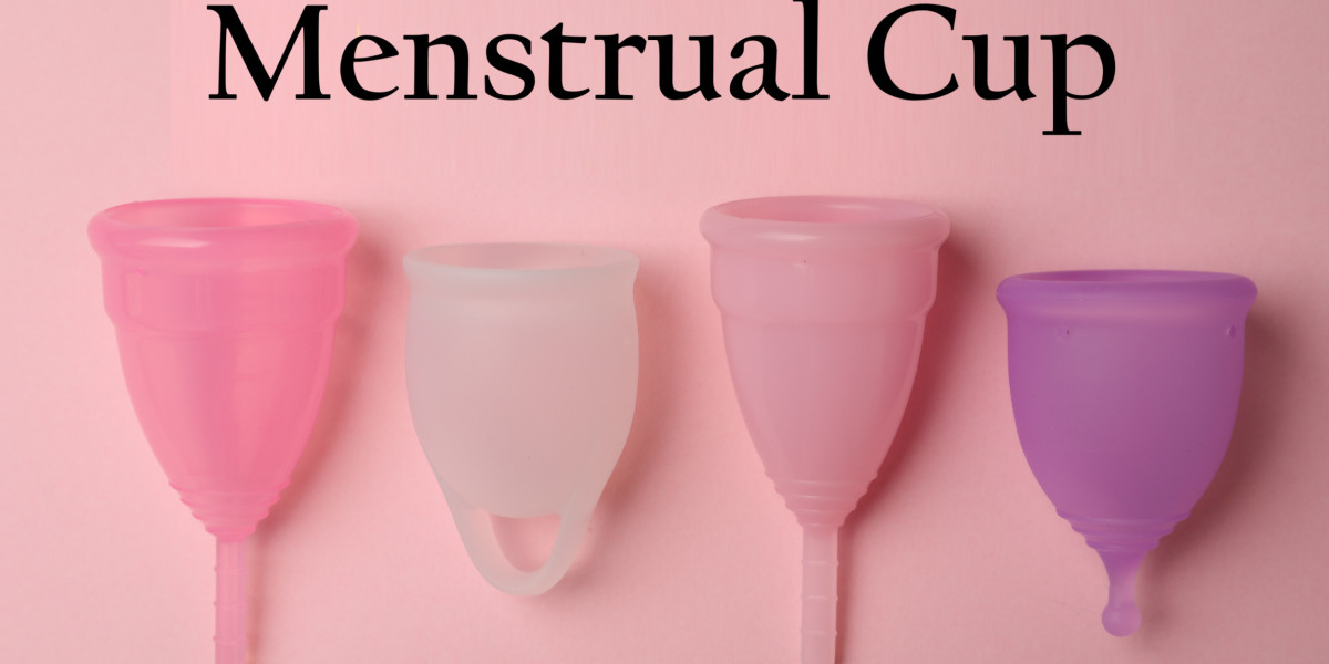 Menstrual Cup Market Growth Fueled by Expanding Product Availability and Education Initiatives