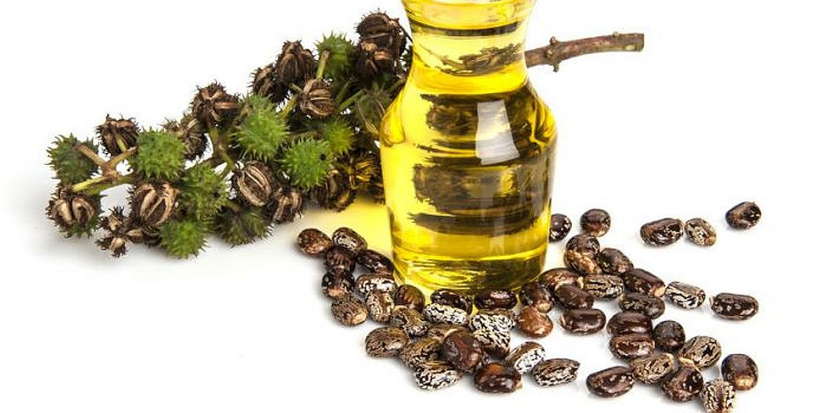 The Benefits of Buying Castor Oil in Bulk: A Smart Investment