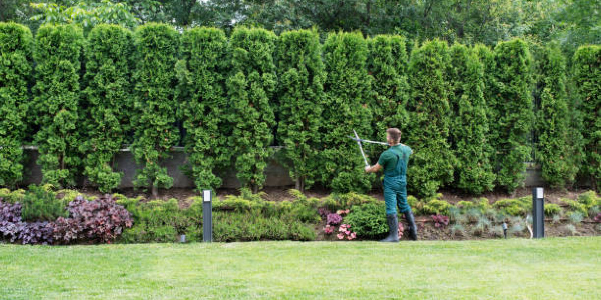 8 Tools Every Tree Trimmer Should Have