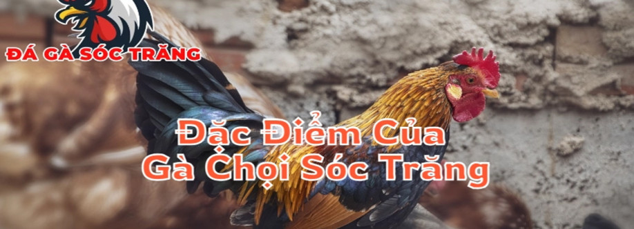 Đá Gà Sóc Trăng Cover Image