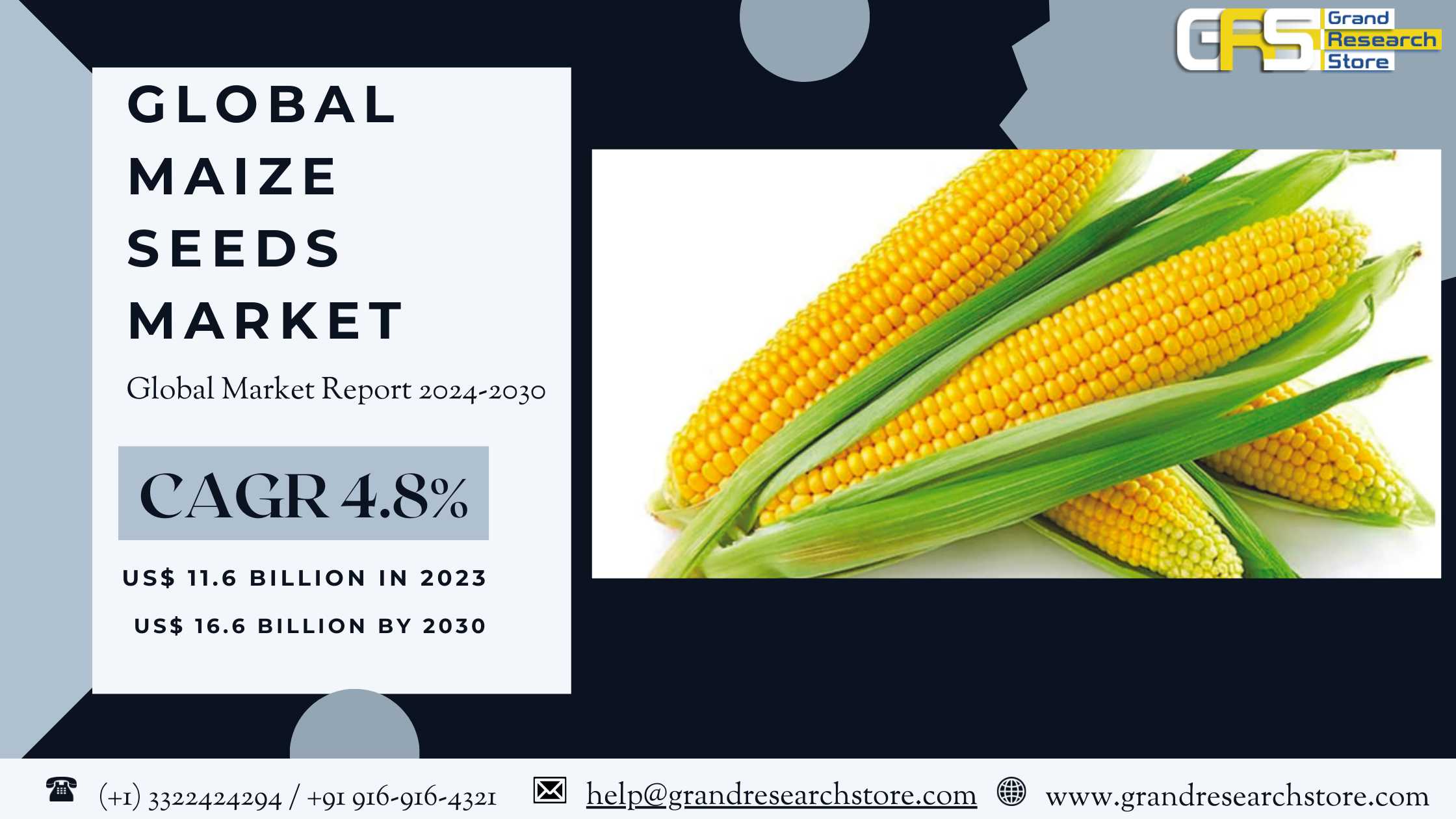 Global Maize Seeds Market Research Report 2024(Sta..