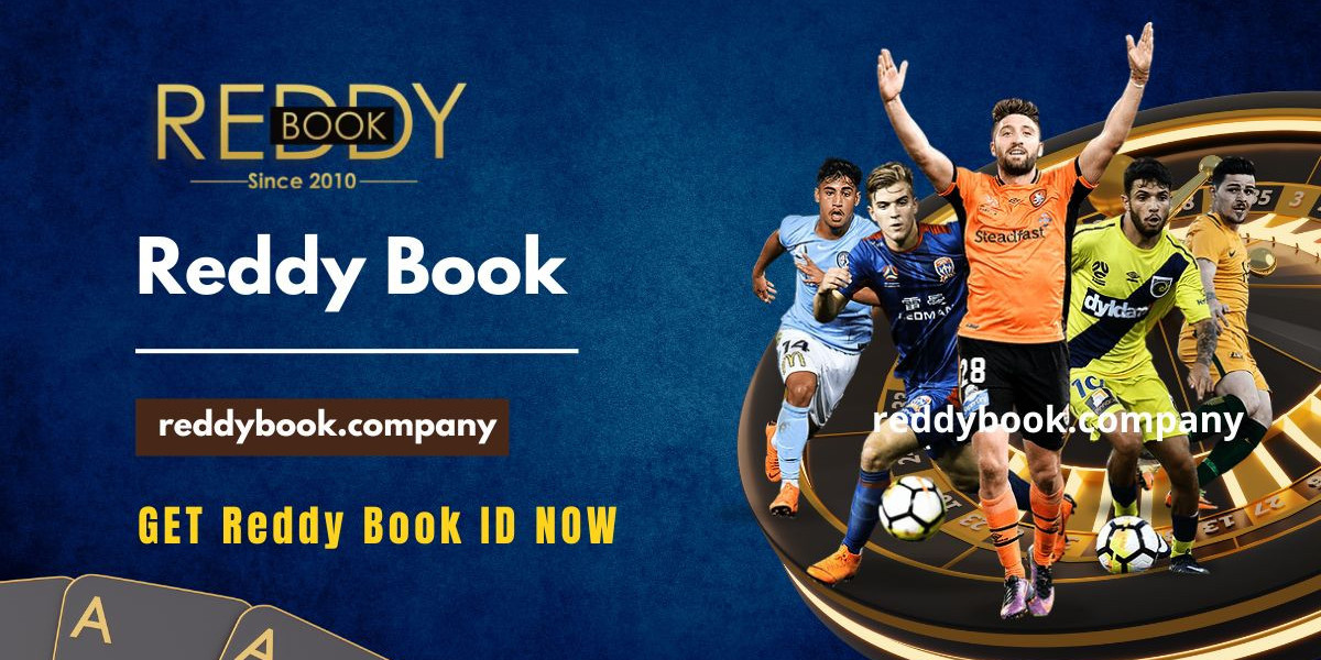 Mastering Your Gameplay: Tips and Strategies for Success on Reddybook